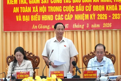 El vicepresidente de la Asamblea Nacional, Tran Quang Phuong, interviene en la reunión (Foto: VNA)