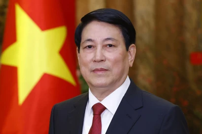 El presidente de Vietnam, Luong Cuong (Foto: VNA)