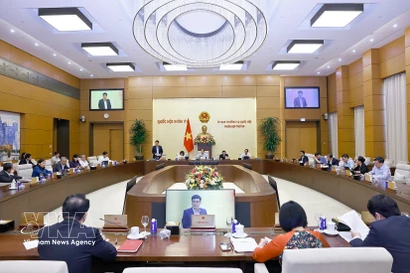 Panorama de la cita (Foto: VNA)