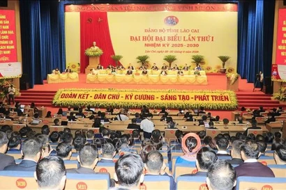 Panorama del evento (Foto: VNA)