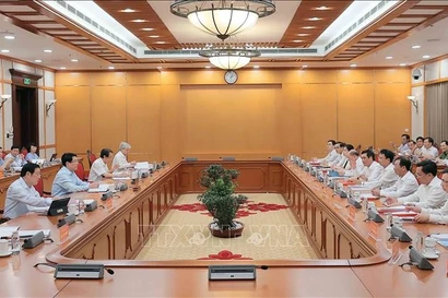 El Grupo de Trabajo N.º 1 fue presidido por Luong Cuong, presidente del Estado (Fuente: VNA)