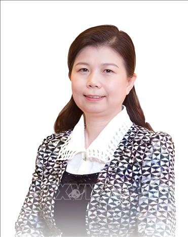 Liu Ying, investigadora del Instituto Chongyang de Estudios Financieros, de la Universidad Renmin de China. (Fuente: VNA)