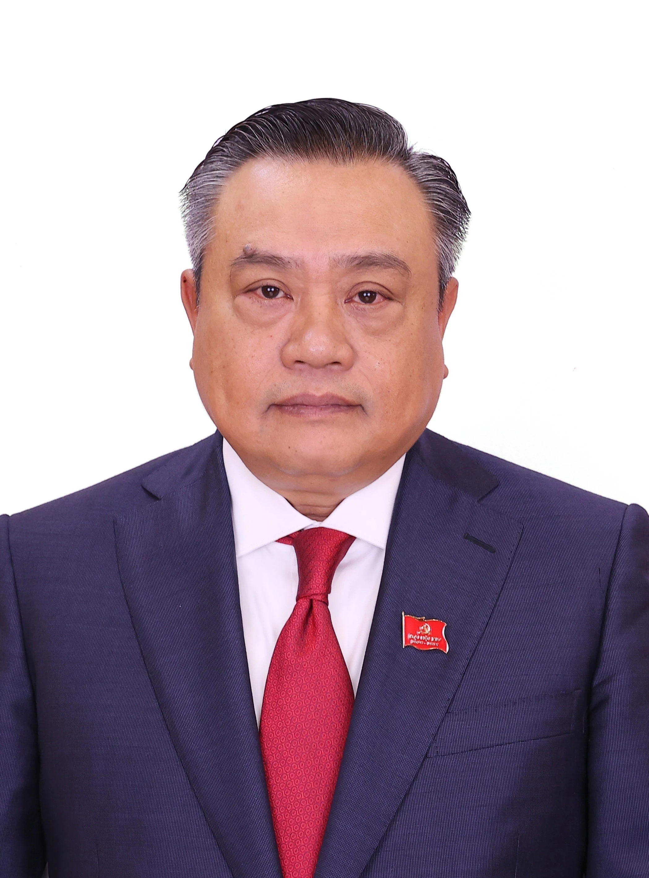Tran Sy Thanh, miembro del Buró Político y jefe de la Comisión de Control Disciplinario del Comité Central del XIII mandato. (Fuente: VNA)