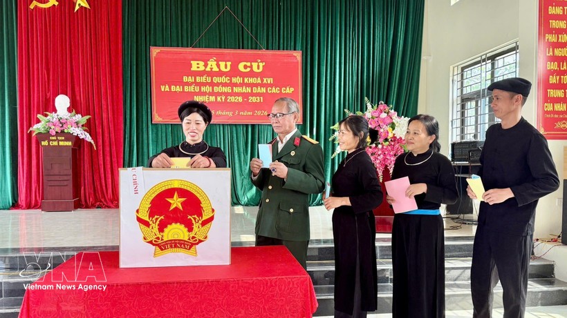Los votantes vietnamitas emiten sus votos (Foto: VNA)