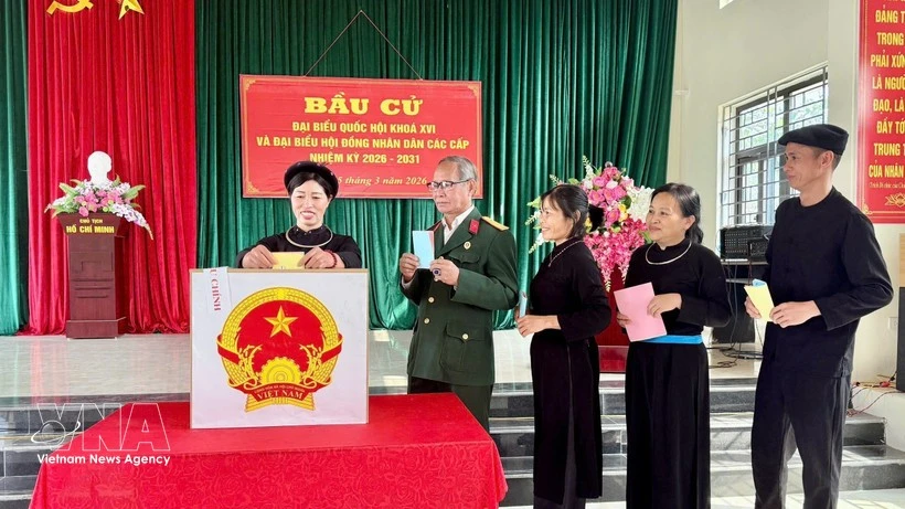 Los votantes vietnamitas emiten sus votos (Foto: VNA)