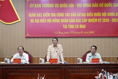 Comité Permanente del Parlamento de Vietnam supervisa preparativos electorales en provincia sureña de Ca Mau (Foto: VNA)