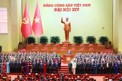 Analistas internacionales destacan la firmeza y renovación de Vietnam