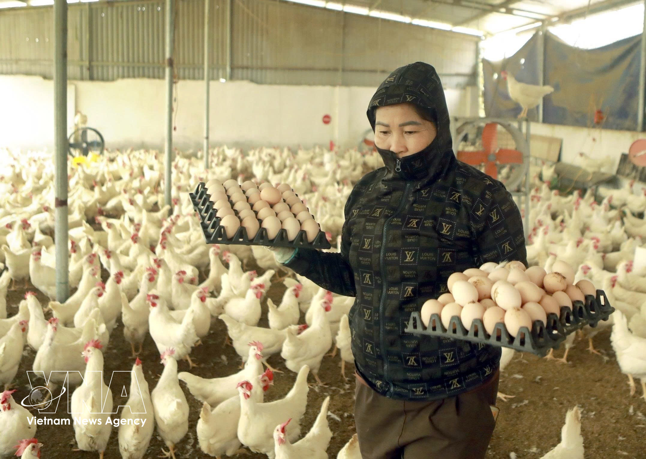 Foto ilustrativa (Fuente: VNA)