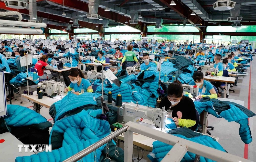 Confección de prendas para exportación a los mercados de EE. UU. y la UE en la Compañía de Maxport. (Foto: VNA)