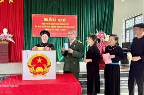 Los votantes vietnamitas emiten sus votos (Foto: VNA)