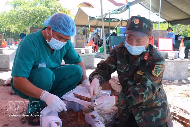 Provincia de Quang Ngai acelera búsqueda para rescatar identidad de mártires caídos