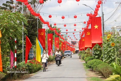 Una carretera rural en la comuna de Tra Con, provincia de Vinh Long, engalanada con banderas y flores, refleja el ambiente festivo y de expectación ante la próxima jornada electoral. (Foto: VNA)