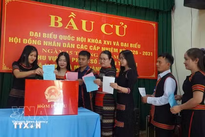 Tasa de participación electoral alcanza 99,68% hasta 23:23 horas del 15 de marzo