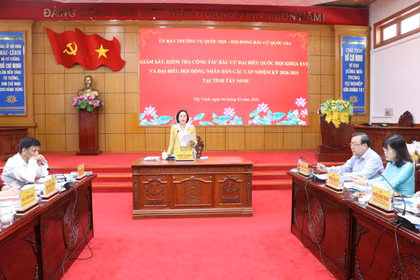 La vicepresidenta de la Asamblea Nacional de Vietnam, Nguyen Thi Thanh, en la sesión de trabajo. (Foto: VNA)