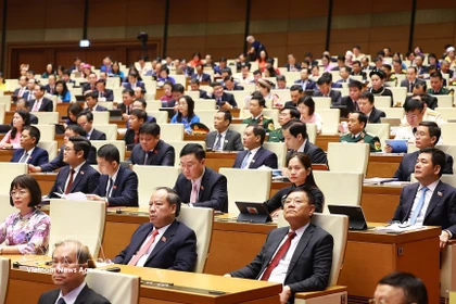 Parlamento de Vietnam de XVI legislatura alcanza récord de legisladores a tiempo completo (Foto: VNA)