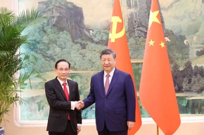 El secretario general del Partido Comunista de China (PCCh) y presidente del país, Xi Jinping, y el canciller vietnamita, Le Hoai Trung (izquierda). (Fuente: VNA)
