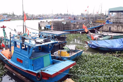 La ciudad centrovietnamita de Da Nang está llevando a cabo una reestructuración integral de su flota pesquera (Fuente: VNA)
