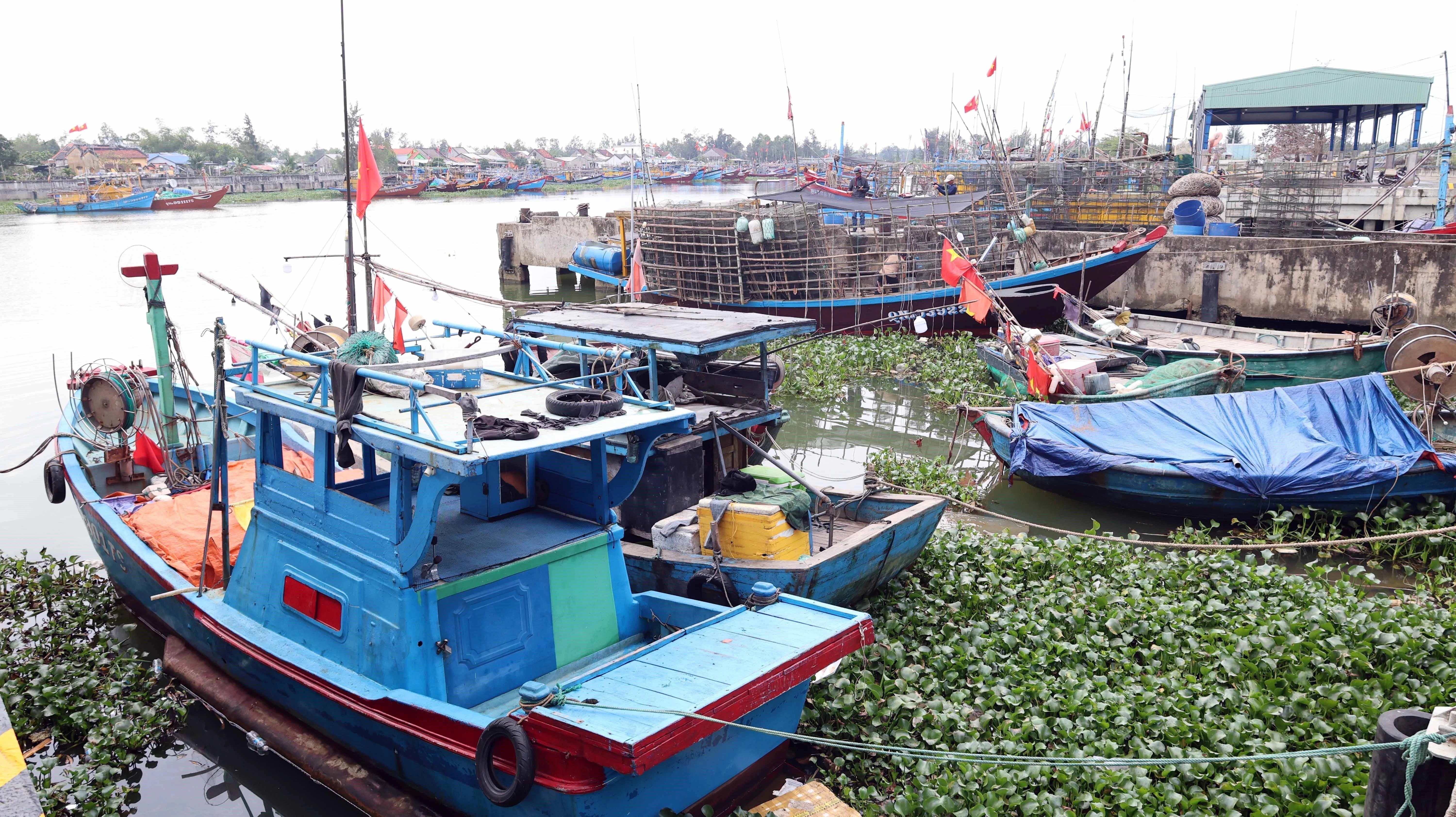 La ciudad centrovietnamita de Da Nang está llevando a cabo una reestructuración integral de su flota pesquera (Fuente: VNA)