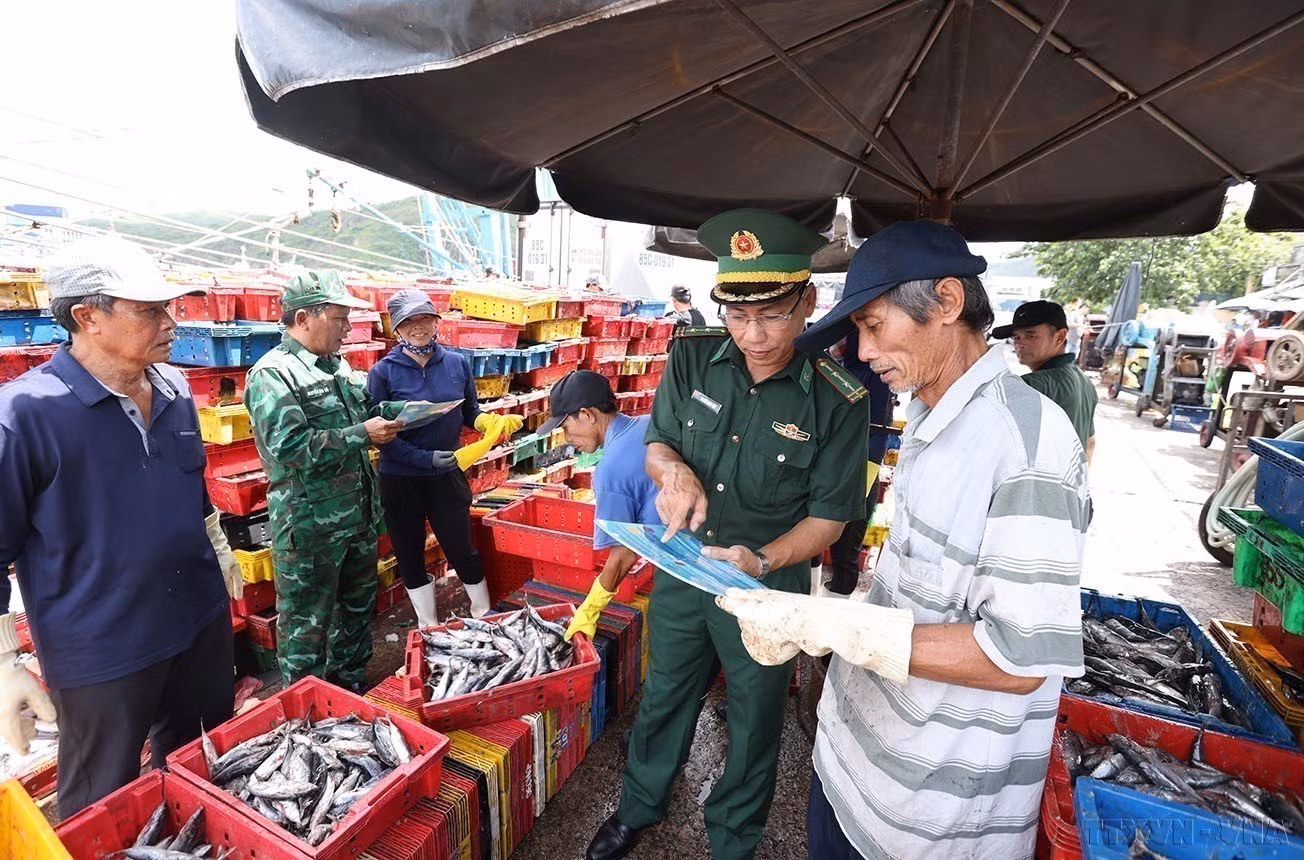06-quan-doi-nhan-dan-viet-nam.jpg