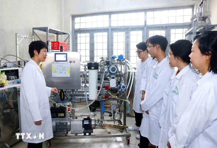 La calidad de los recursos humanos de Vietnam ha mejorado, y las políticas a favor del desarrollo humano integral se han vuelto más completas, enfocadas y prácticas (Foto: VNA)