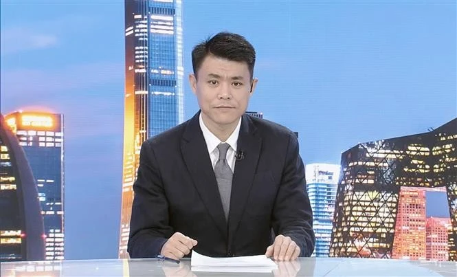 Wei Wei, experto en estudios sobre Vietnam y jefe del Departamento de lengua vietnamita del CMG (Fuente: VNA)
