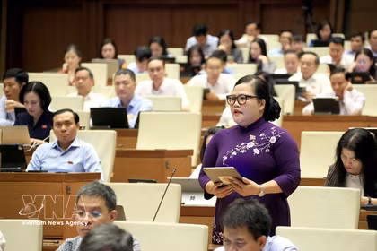 Nguyen Thi Suu, diputada de la ciudad de Hue, interviene en una sesión de debate durante la primera reunión extraordinaria de la Asamblea Nacional de Vietnam de la XVI Legislatura. (Fuente: VNA)
