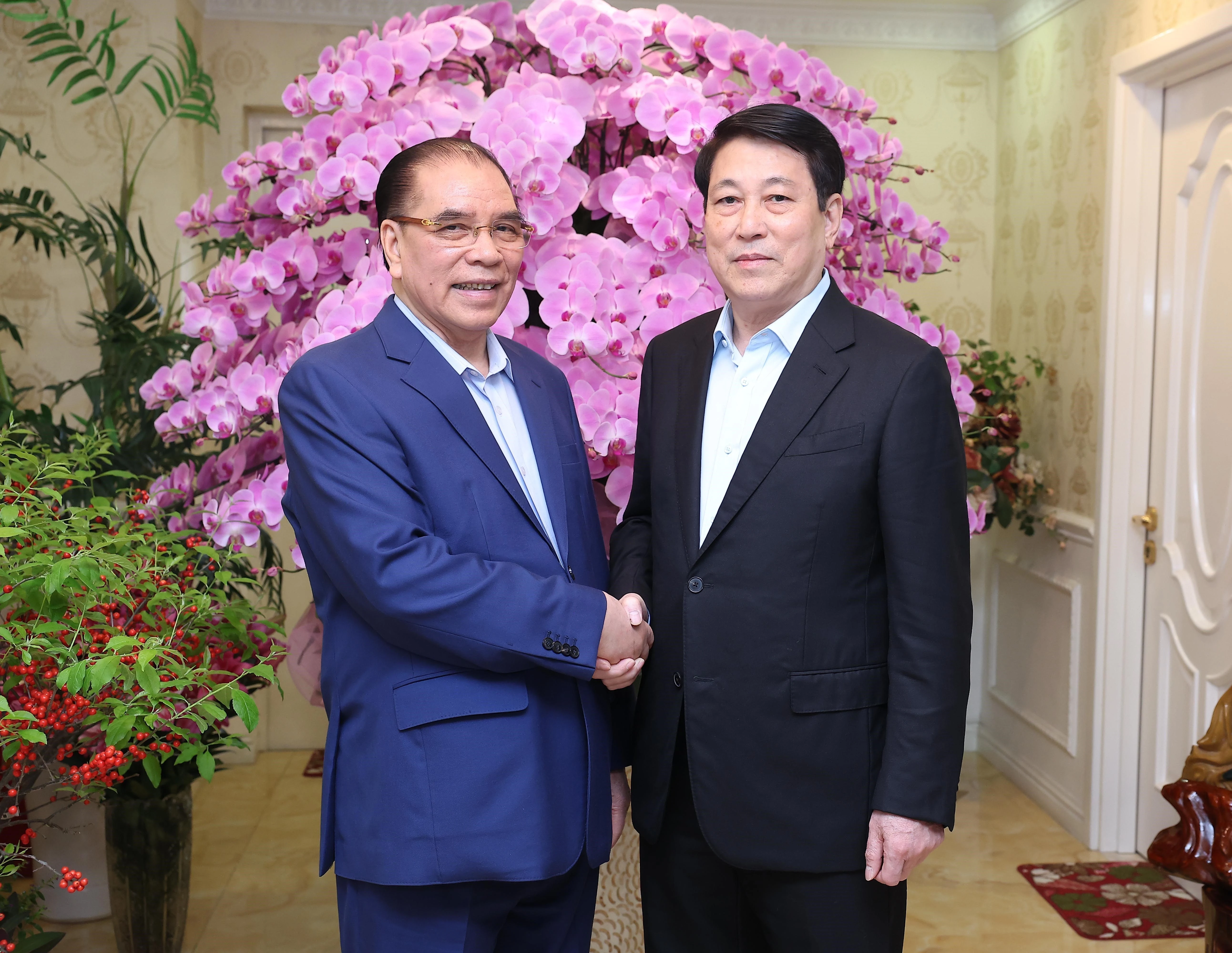 Presidente vietnamita felicita al exsecretario general del Partido Nong Duc Manh por el Tet