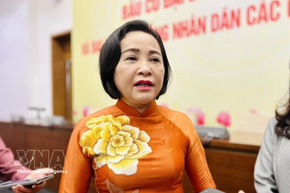 La vicepresidenta de la Asamblea Nacional (AN) de Vietnam, Nguyen Thi Thanh. (Foto: VNA) 