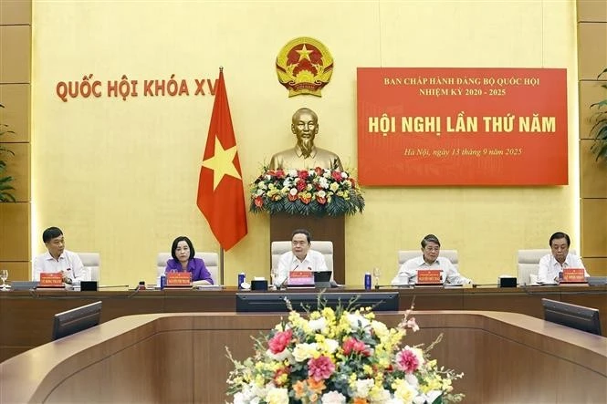 Panorama de la reunión (Foto: VNA)