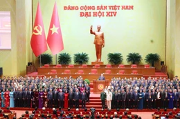 Analistas internacionales destacan la firmeza y renovación de Vietnam