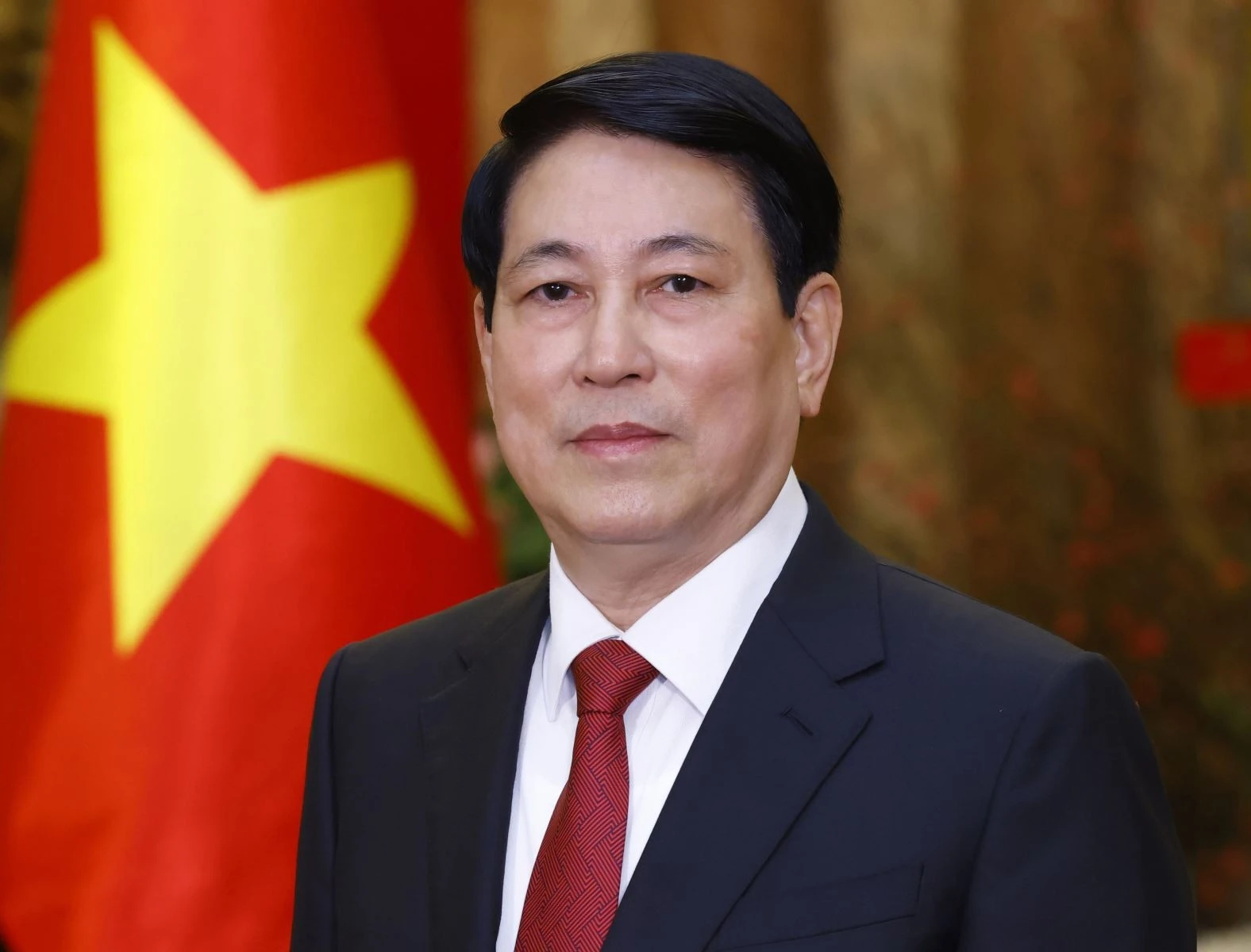 El presidente de Vietnam, Luong Cuong (Foto: VNA)