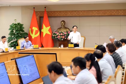 El viceprimer ministro vietnamita Ho Quoc Dung preside la reunión. Foto: VNA