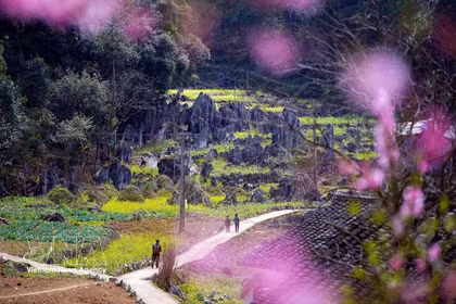 Belleza de la Meseta Kárstica de Dong Van, en la provincia de Tuyen Quang. (Foto: VNA)