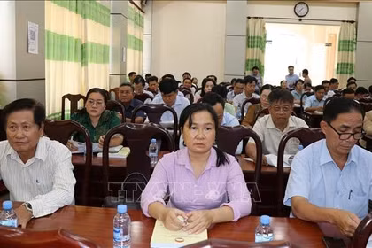 Segunda conferencia consultiva en la provincia de Dong Thap (Foto: VNA)