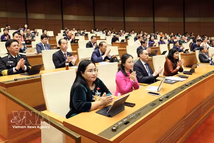 Diputados votan en la sesión (Foto: VNA)