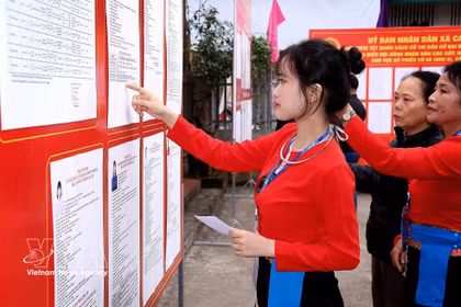 Los votantes de la minoría étnica Muong, que votan por primera vez, estudian detenidamente las biografías de sus candidatos. (Foto: VNA)
