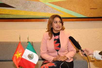 La diputada del Partido del Trabajo, presidenta de la Comisión de Bienestar de la Cámara de Diputados de México, Ana Karina Rojo Pimentel, responde a una entrevista de la VNA. (Foto: VNA)